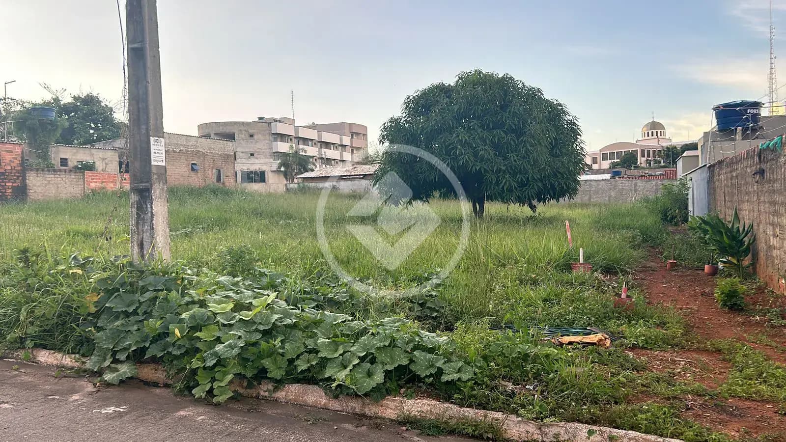 Terreno no Jardim Floresta, Trindade — foto 3 de 5