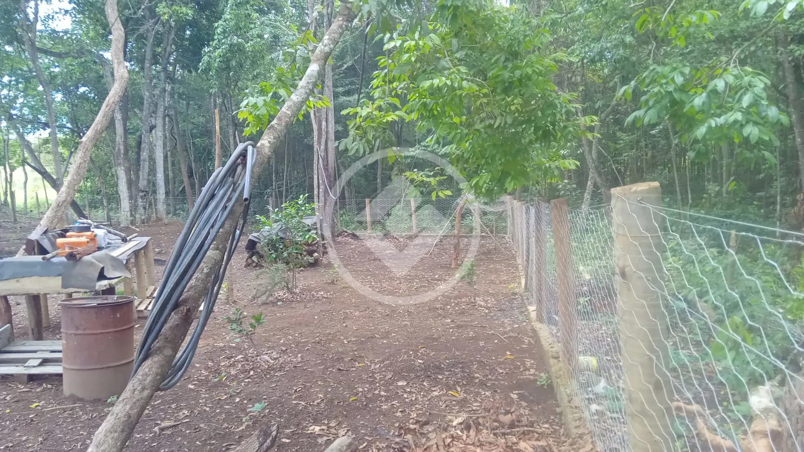 Fazenda no Chácara em Hidrolândia, Hidrolândia — foto 5 de 6