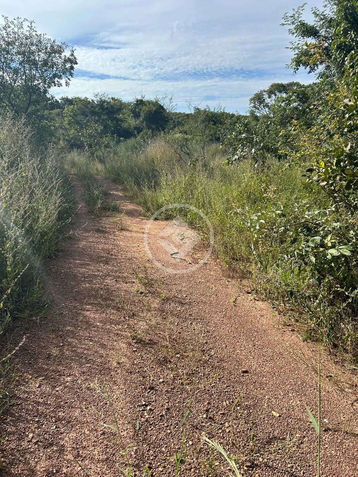 Chácara no Zona Rural Hidrolandia, Hidrolândia — foto 4 de 6