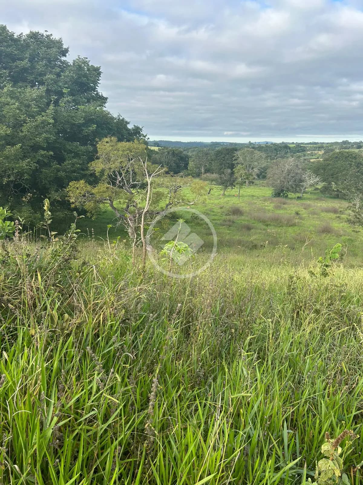 Chácara no Zona Rural Hidrolandia, Hidrolândia — foto 3 de 6