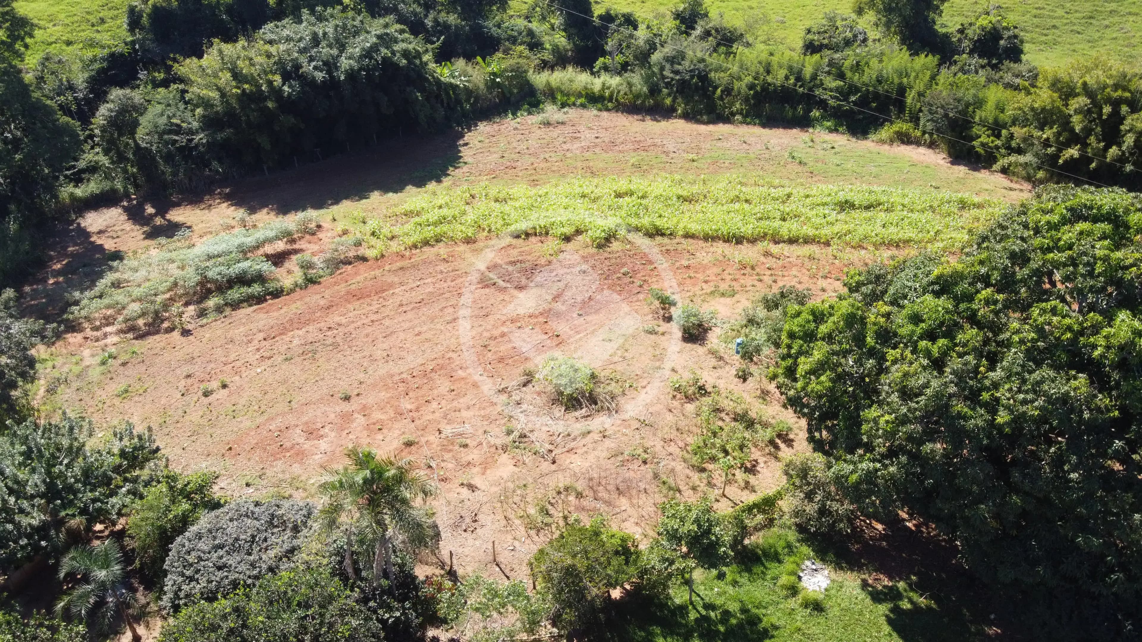 Chácara no Zona Rural, Bela Vista de Goiás — foto 5 de 6