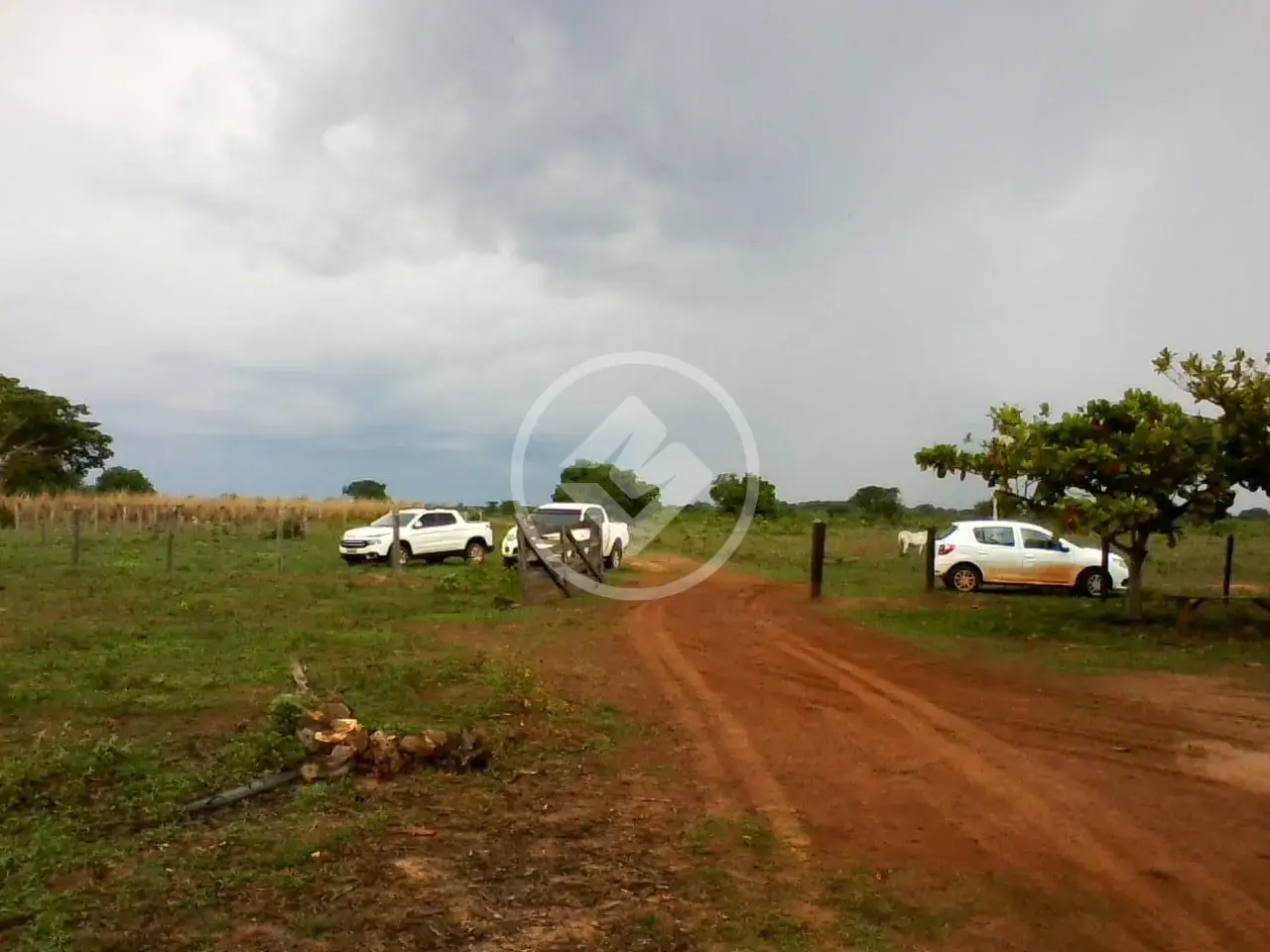 Fazenda no Zona Rural, Luciara — foto 6 de 6