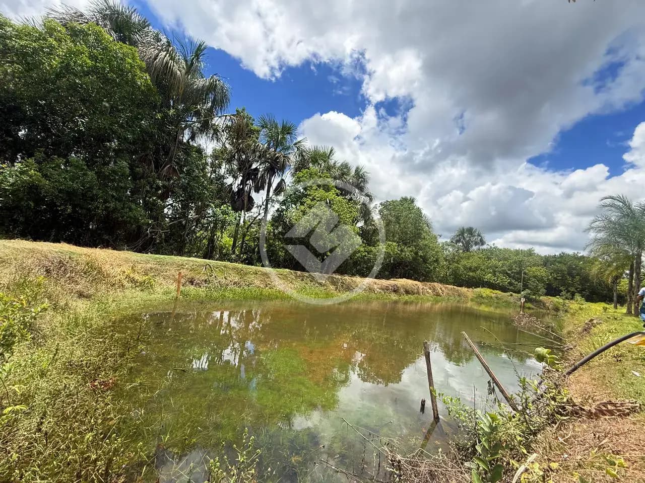 Hidrolândia - Sitio de 4,17 Alqueires
