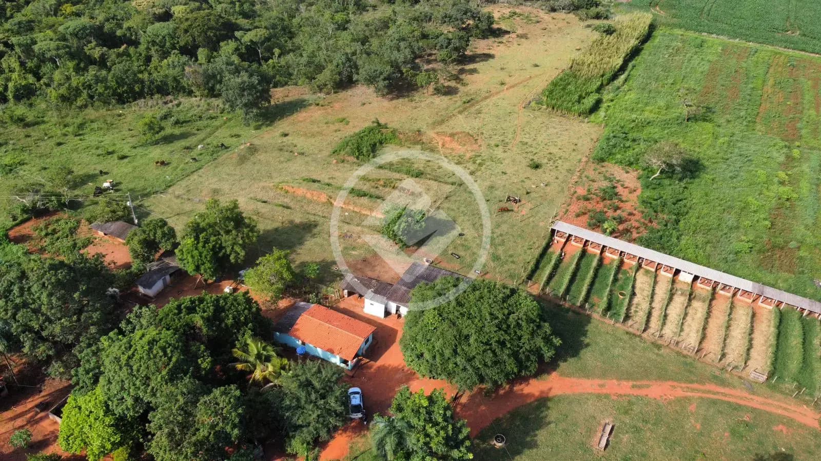 Bela Vista de Goiás Chácara de 3 Alqueires
