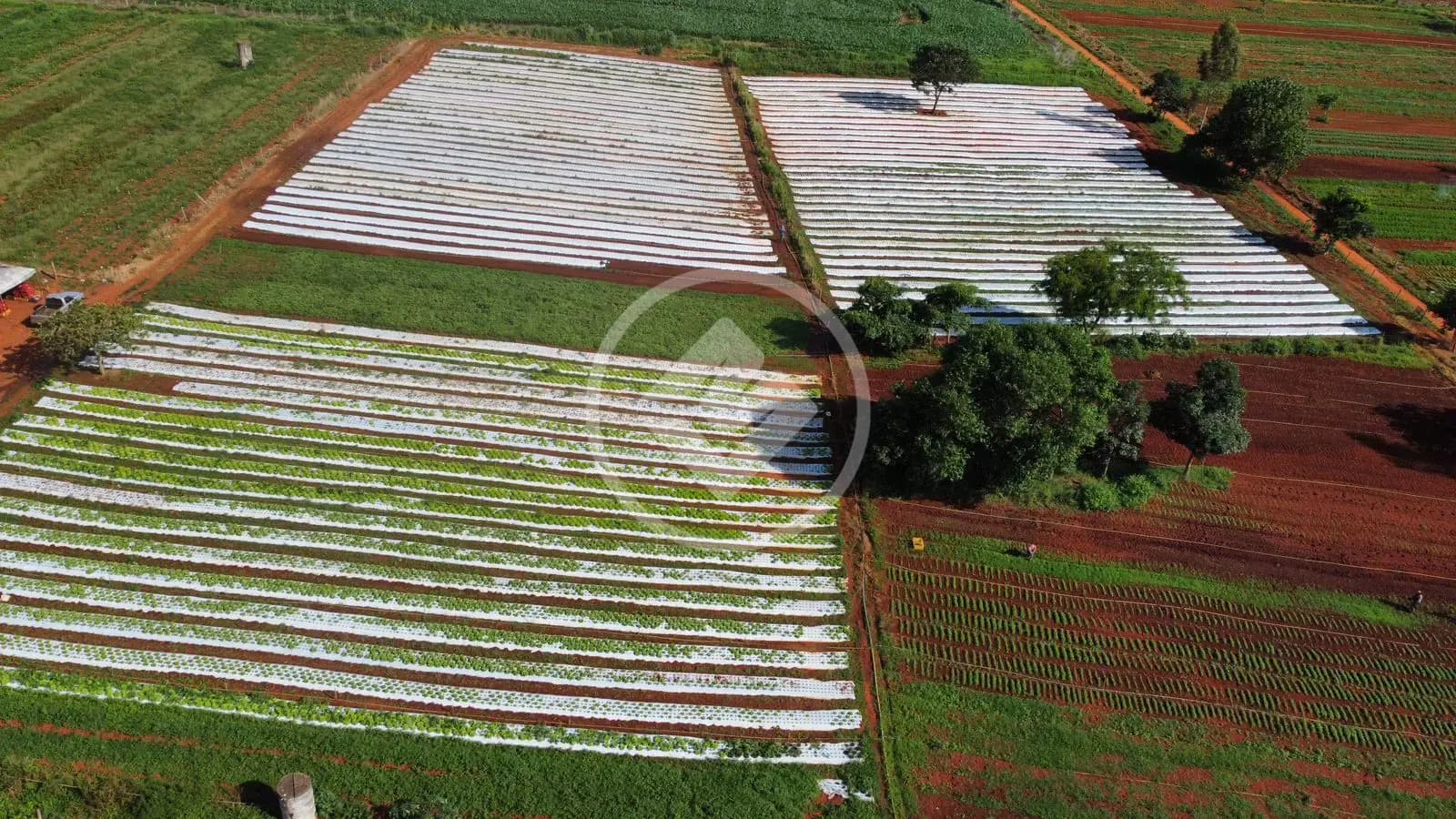Chácara no Zona Rural, Bela Vista de Goiás — foto 6 de 6