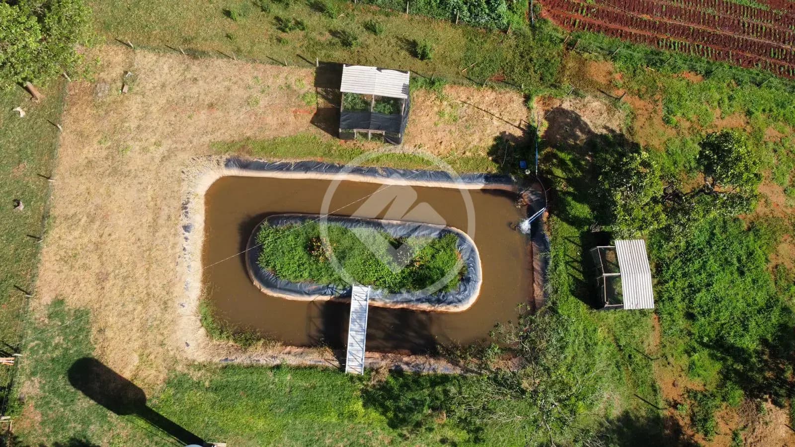 Chácara no Zona Rural, Bela Vista de Goiás — foto 5 de 6