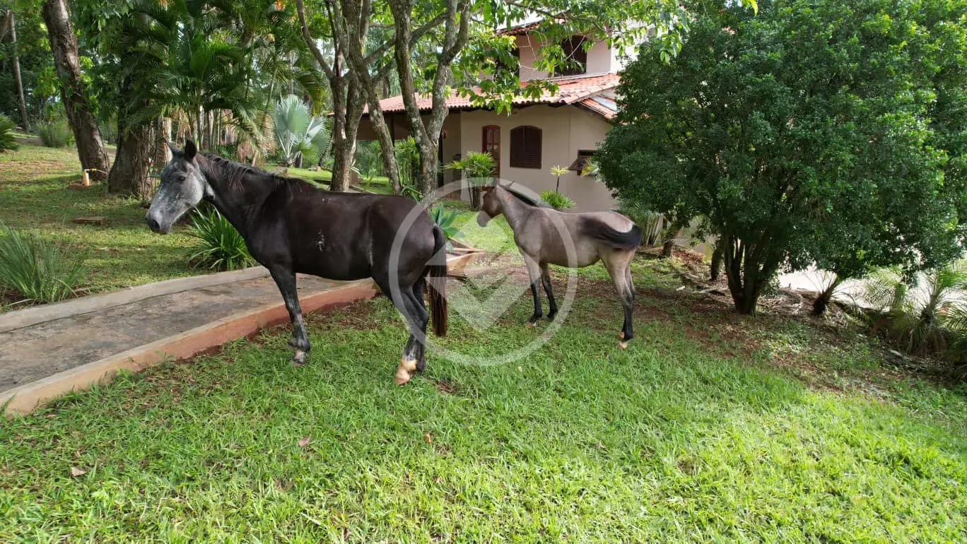 Fazenda no Zona Rural, Caldazinha — foto 3 de 6