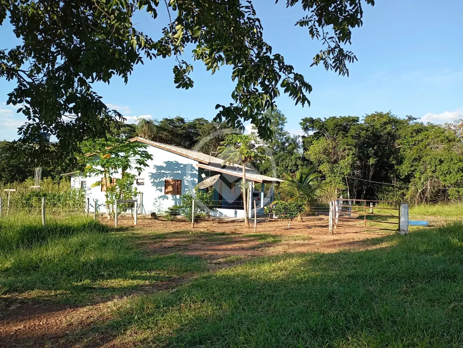 Fazenda no Zona Rural, Pontalina — foto 6 de 6