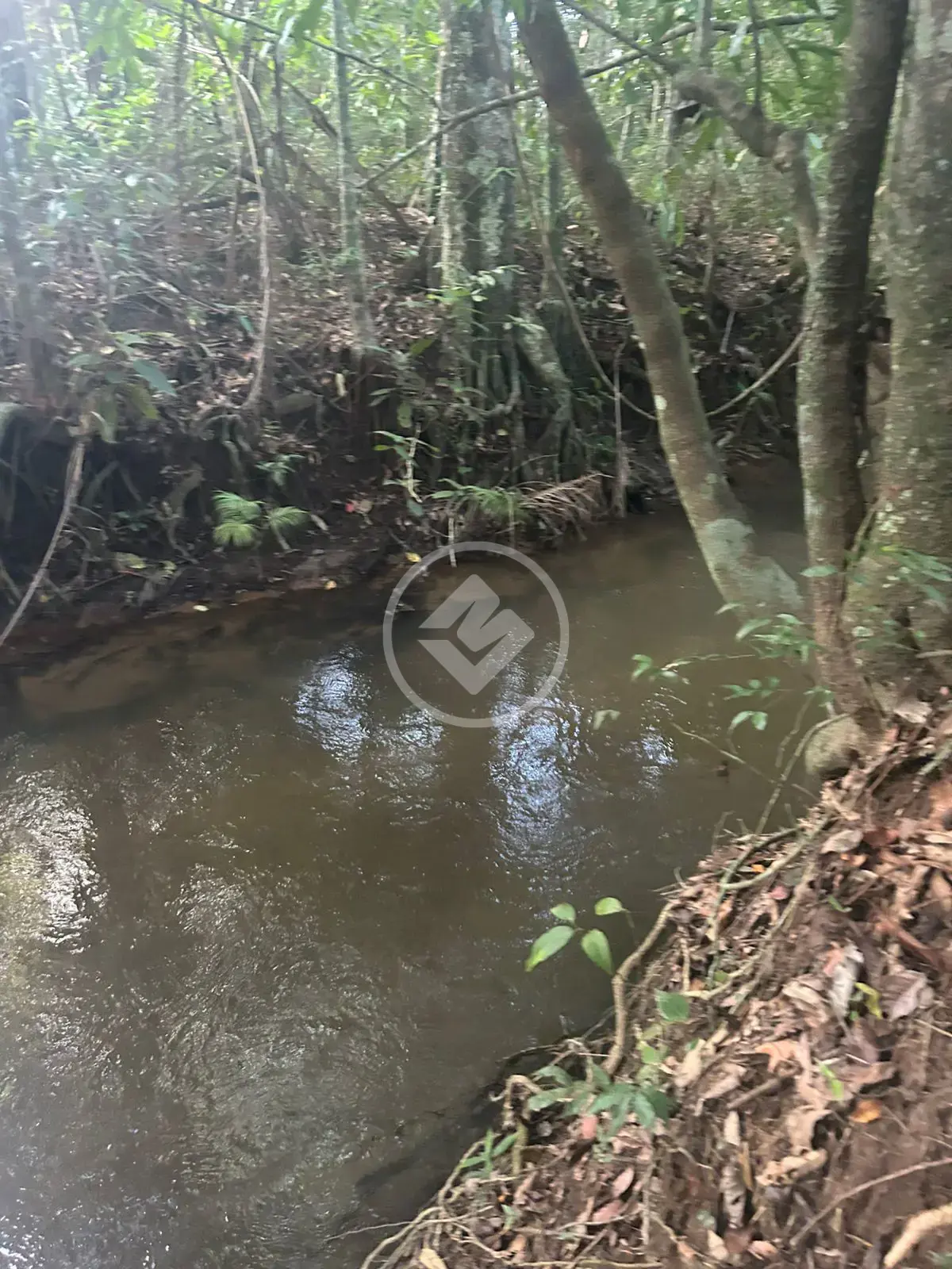 Chácara santa maria, Hidrolândia - GO — foto 1