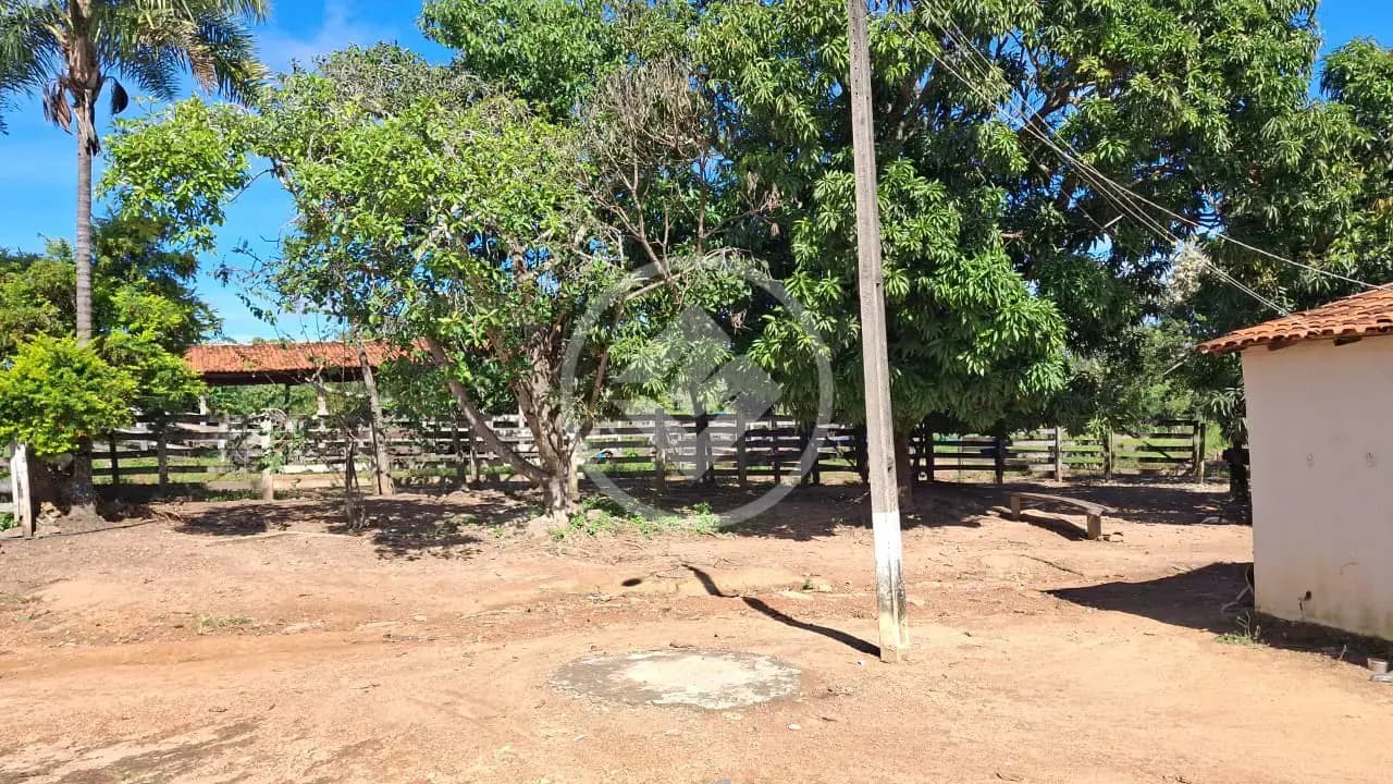 Fazenda ZONA RURAL, Natividade - TO — foto 2
