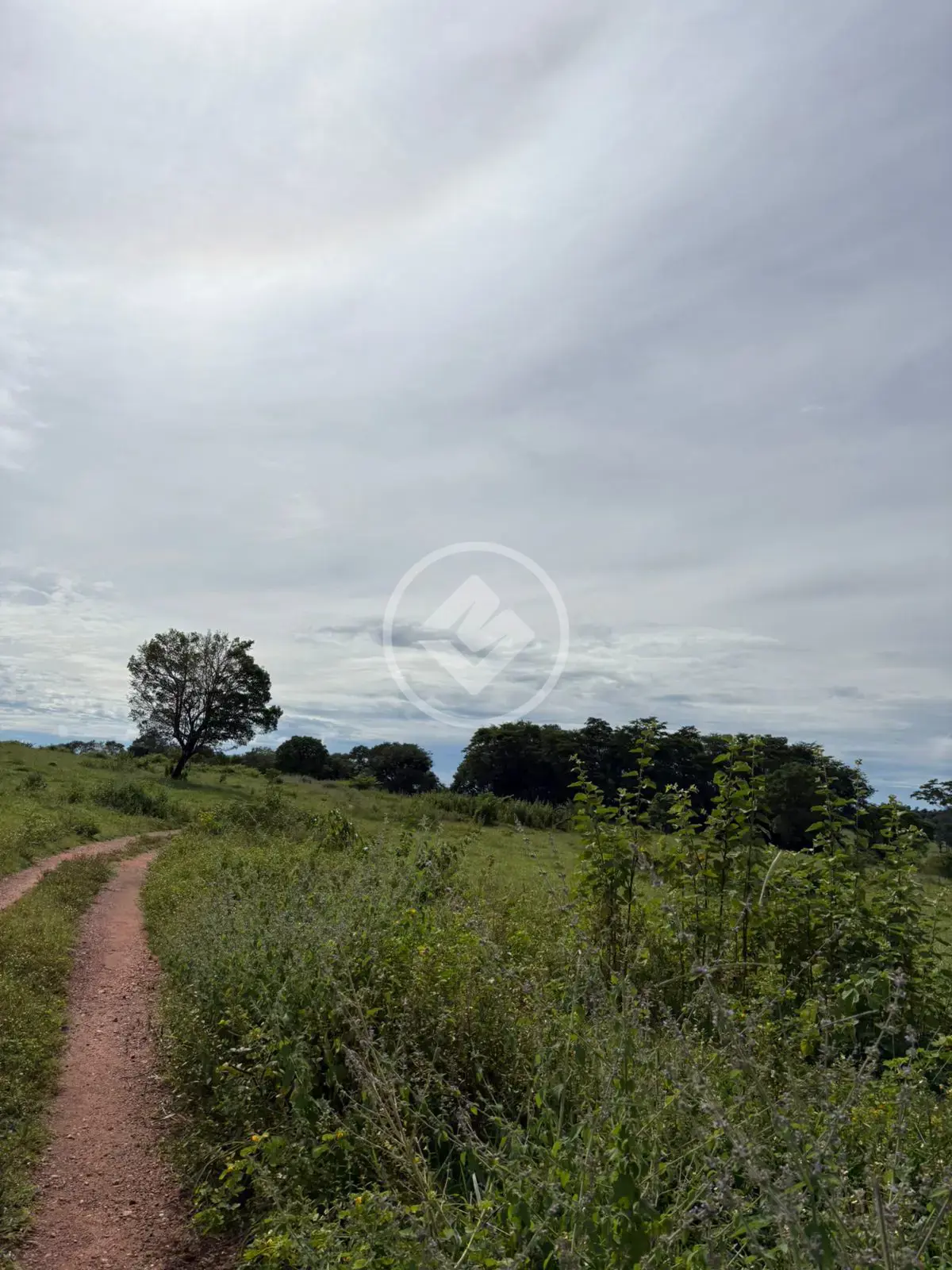 Fazenda no Área Rural de Morrinhos, Morrinhos — foto 4 de 6