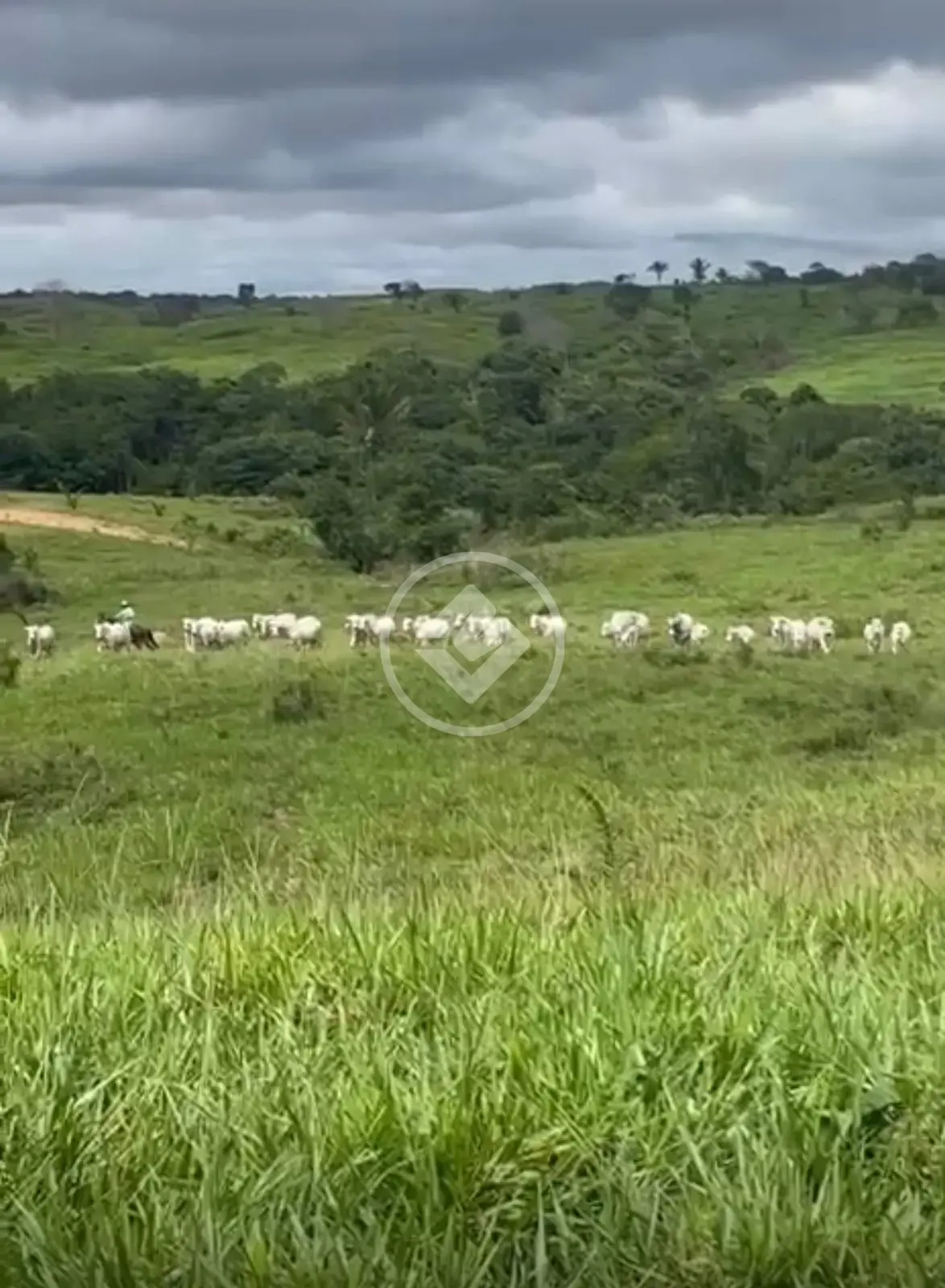 Fazenda Zona Rural, Arapoema - TO — foto 2
