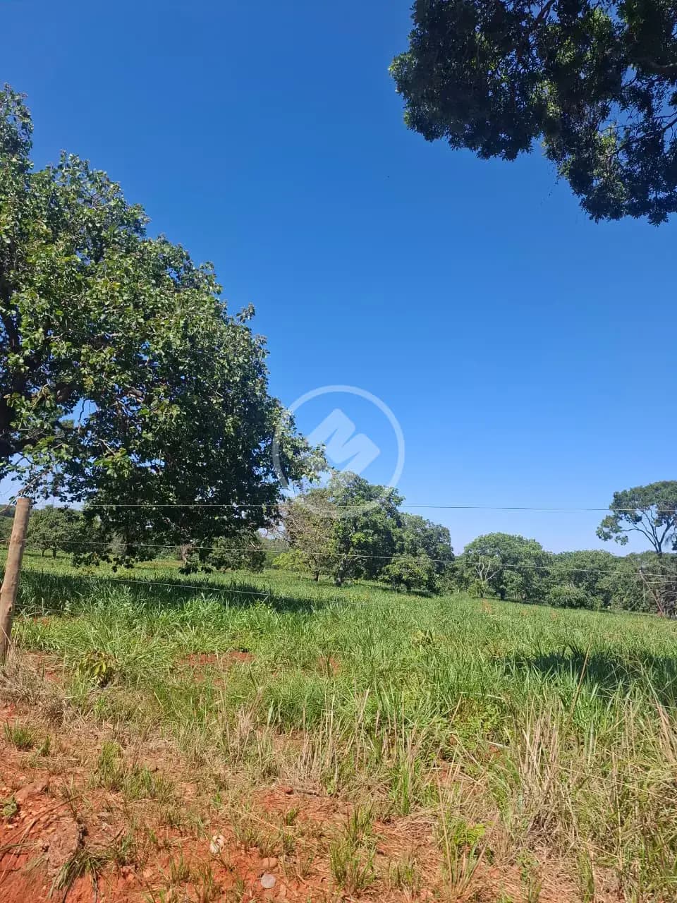 Fazenda no Área Rural de Curvelo, Curvelo — foto 4 de 6