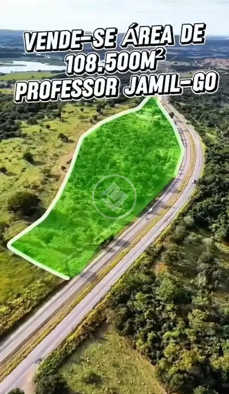 Terreno Comercial Br-153, Professor Jamil - GO — foto 2