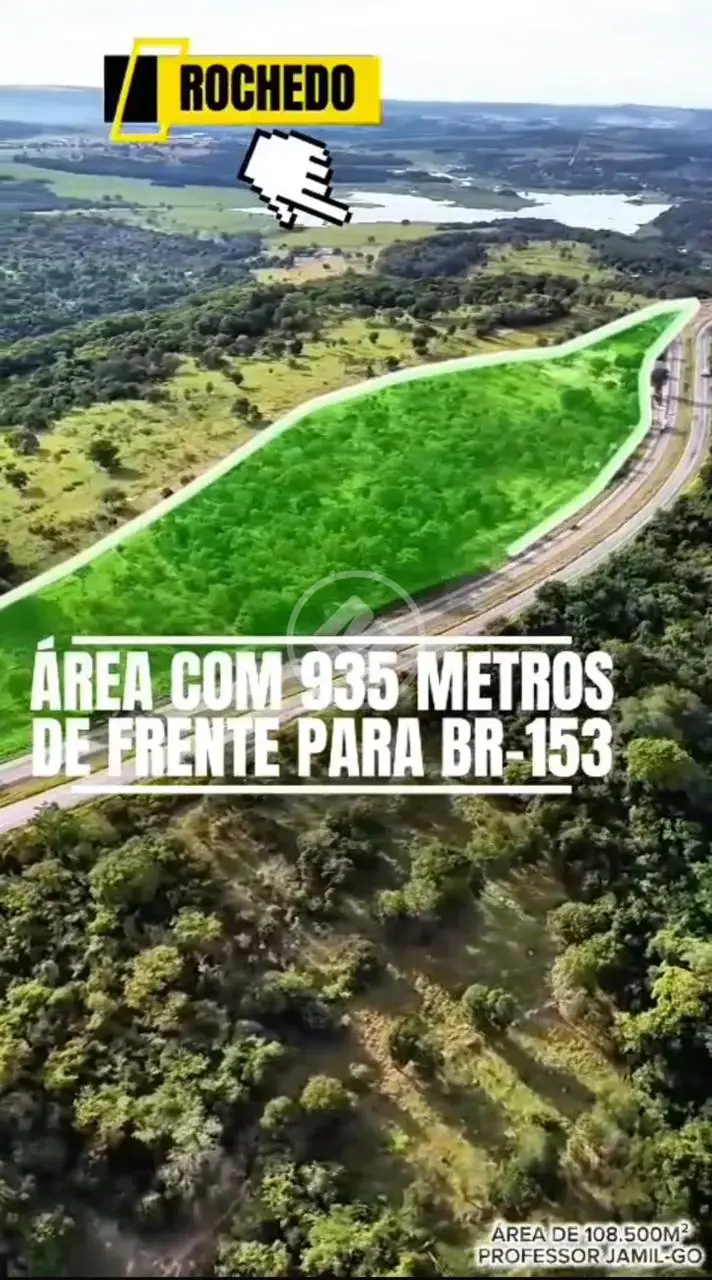 Terreno Comercial Br-153, Professor Jamil - GO — foto 1