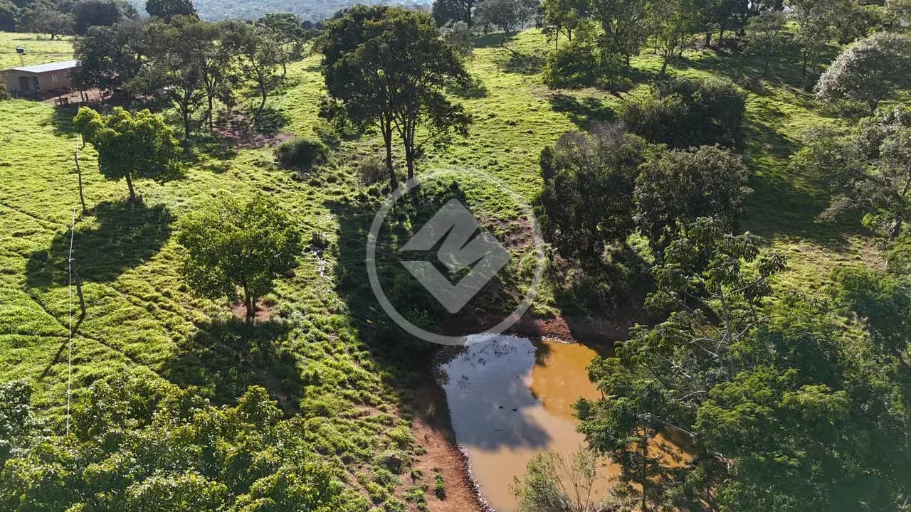 Fazenda Zona Rural, Hidrolândia - GO — foto 2