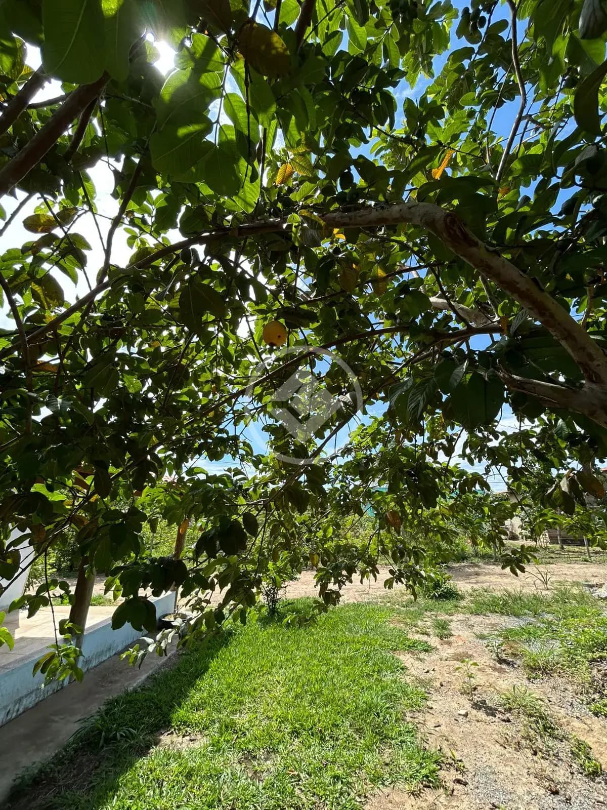 Chácara 2 quartos no Zona Rural, Hidrolândia — foto 3 de 6