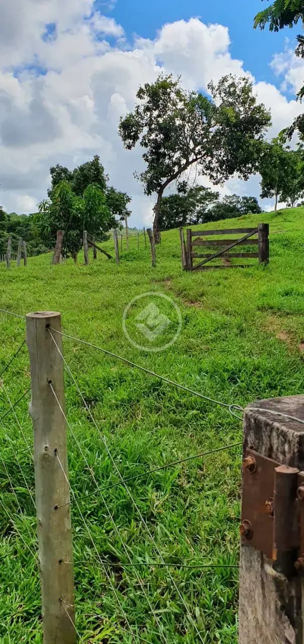 Fazenda Zona Rural, São Miguel do Passa Quatro - GO — foto 2
