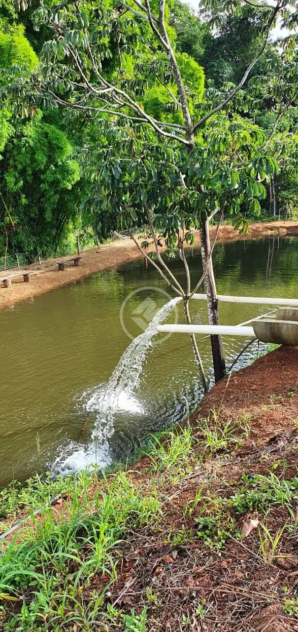Fazenda Zona Rural, São Miguel do Passa Quatro - GO — foto 1
