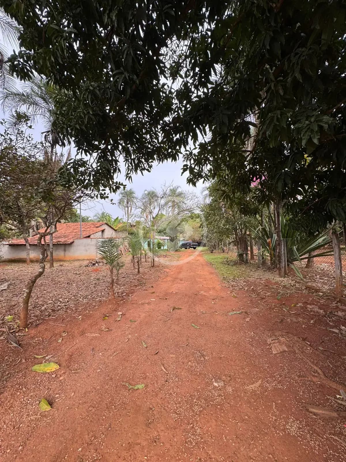 Chácara no Mansões Riviera Parque, Hidrolândia — foto 6 de 6