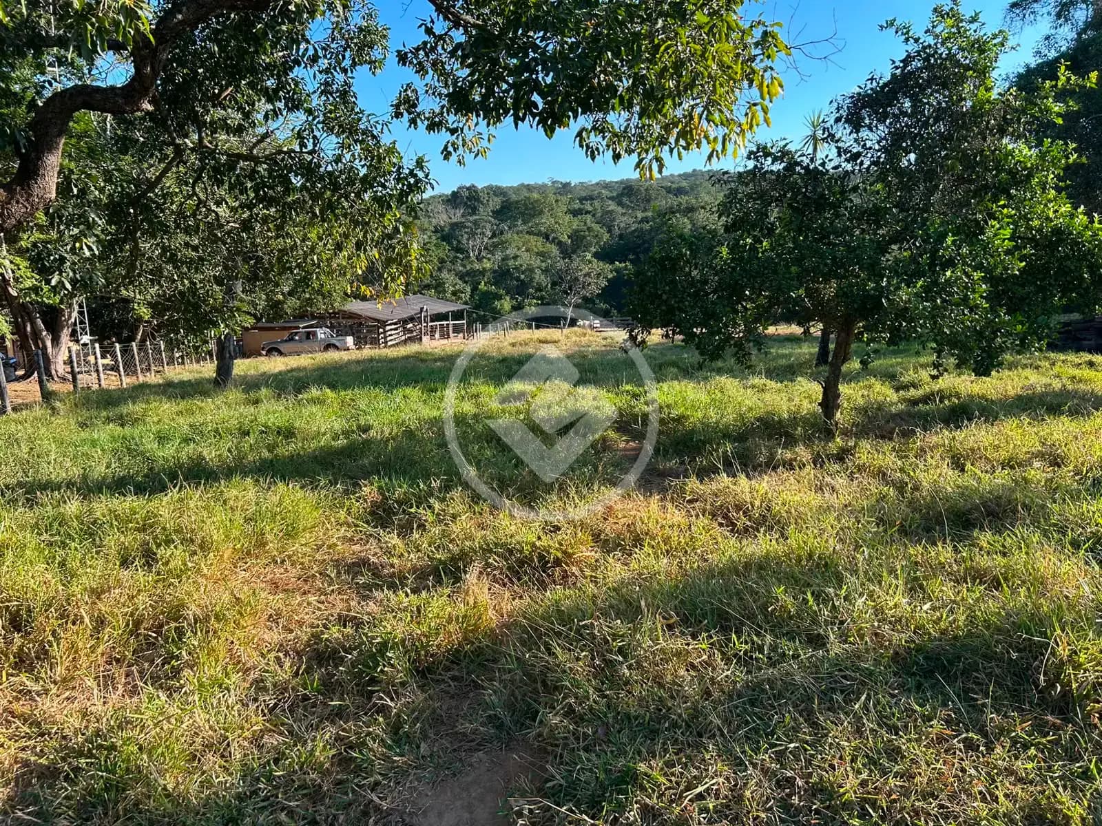 Fazenda Zona Rural, Hidrolândia - GO — foto 2