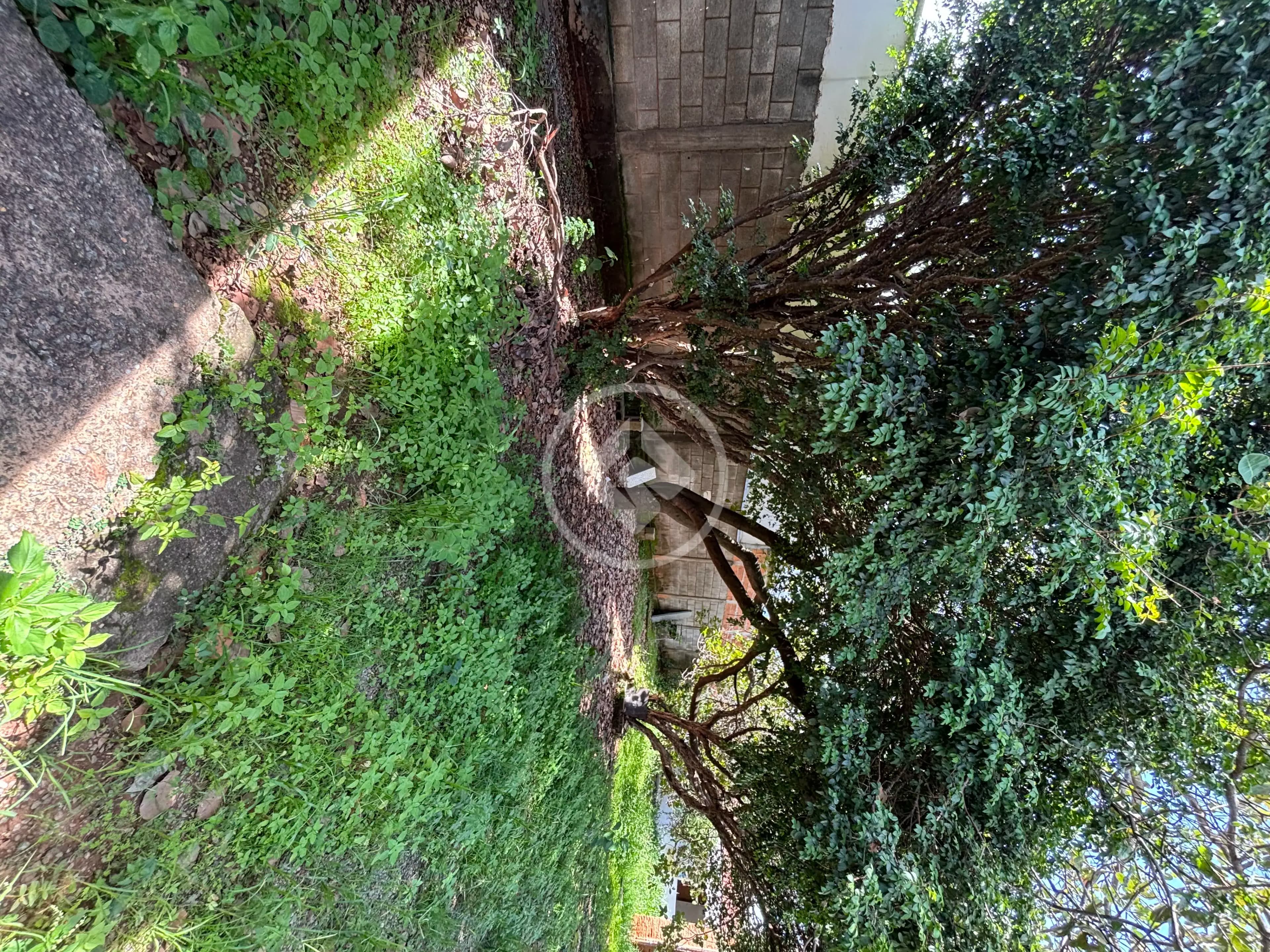Terreno Setor Central, Aparecida de Goiânia - GO — foto 2