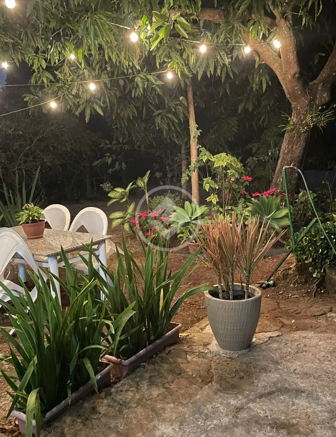 Fazenda Zona Rural, Cocalzinho de Goiás - GO — foto 2