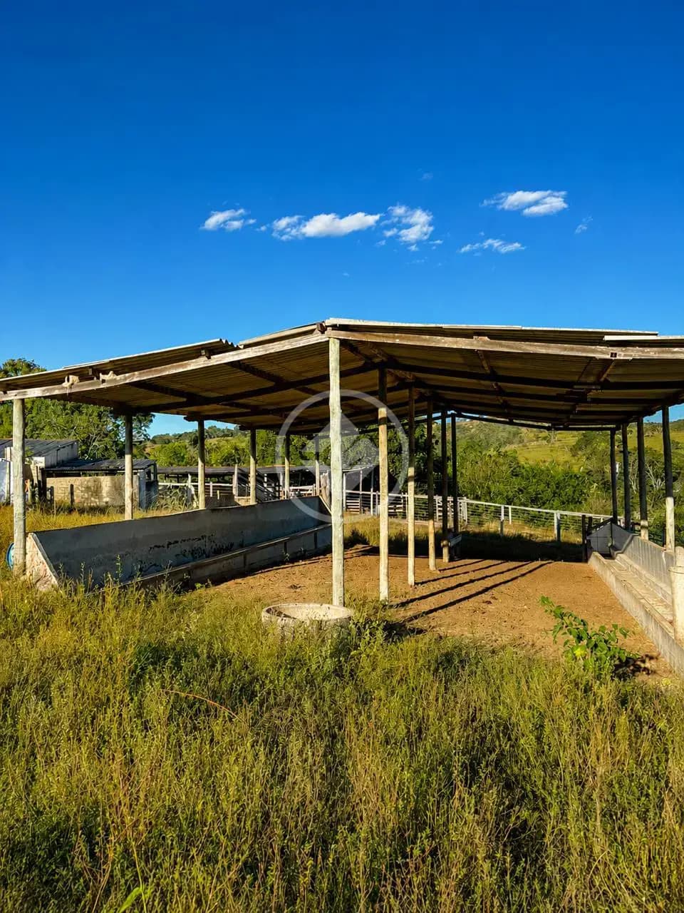 Fazenda Girassol, Cocalzinho de Goiás - GO — foto 2