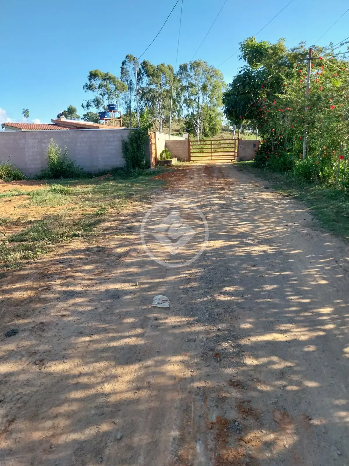 Terreno no Revés do Belém, Bom Jesus do Galho — foto 4 de 4