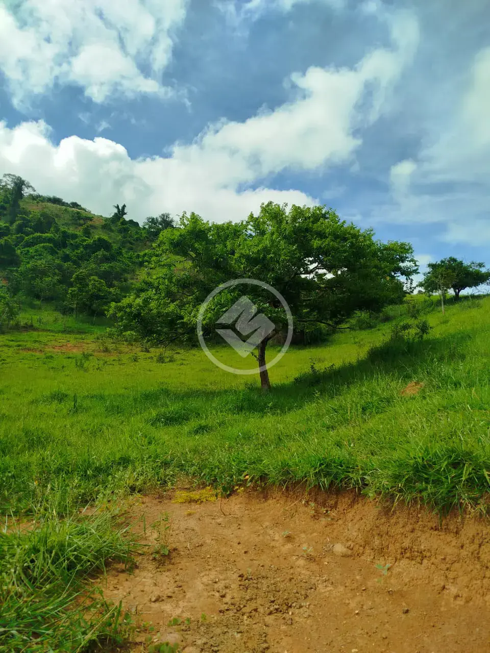 Lote Vale Verde