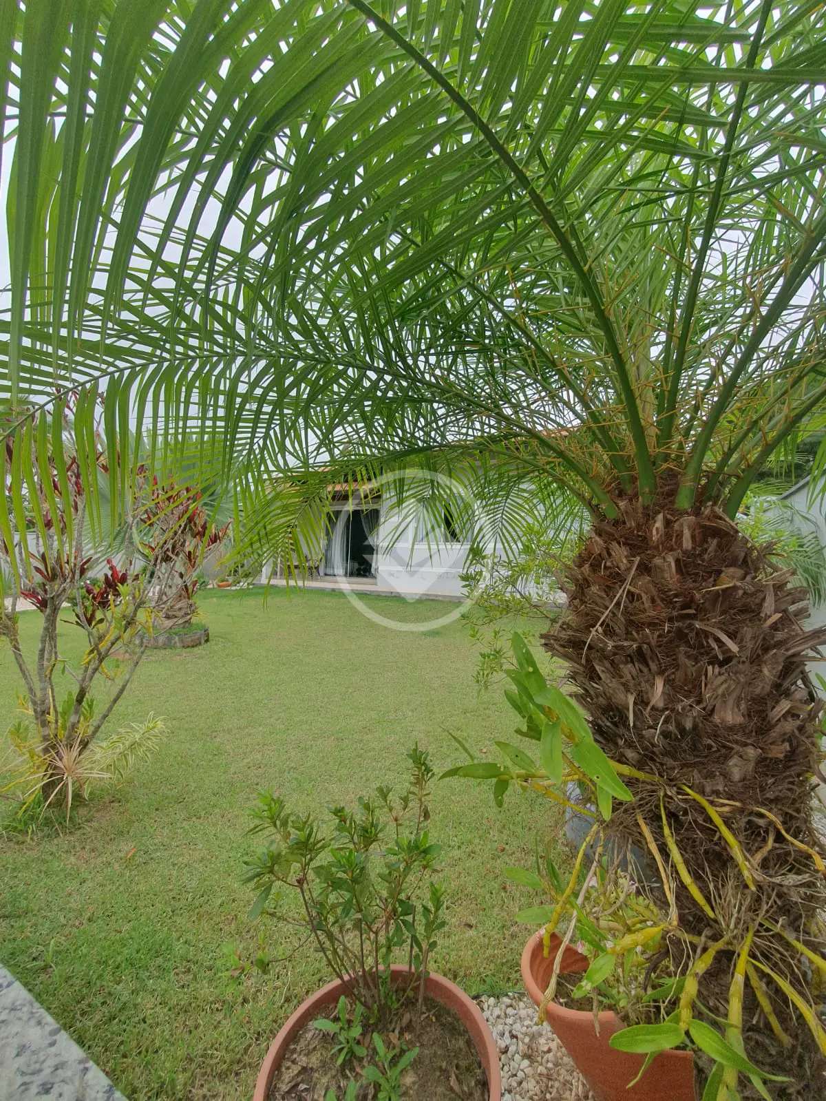 Chácara 3 quartos no Fernandes, São João Batista — foto 3 de 6