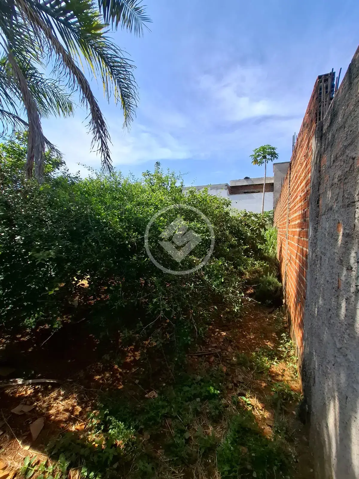 Terreno Residencial Mirante, Goiânia - GO — foto 1