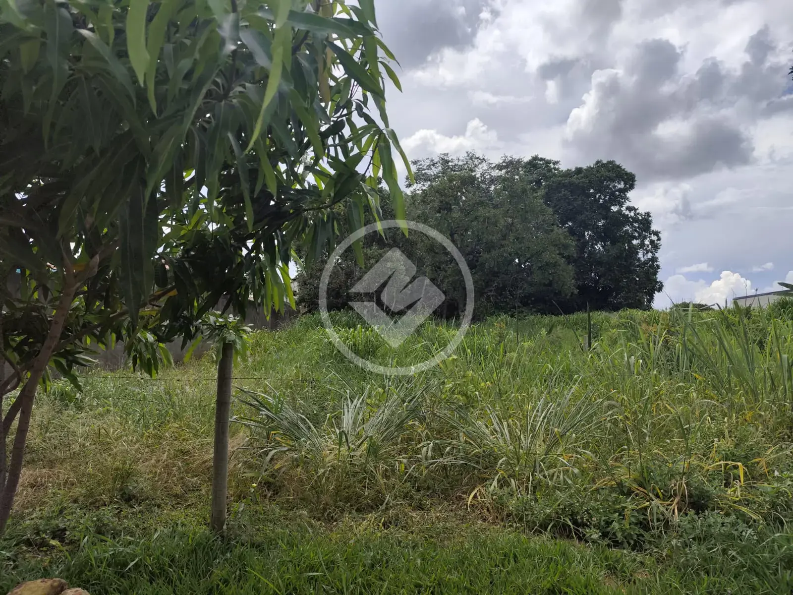 Terreno Jardim Brasil, Caldas Novas - GO — foto 1