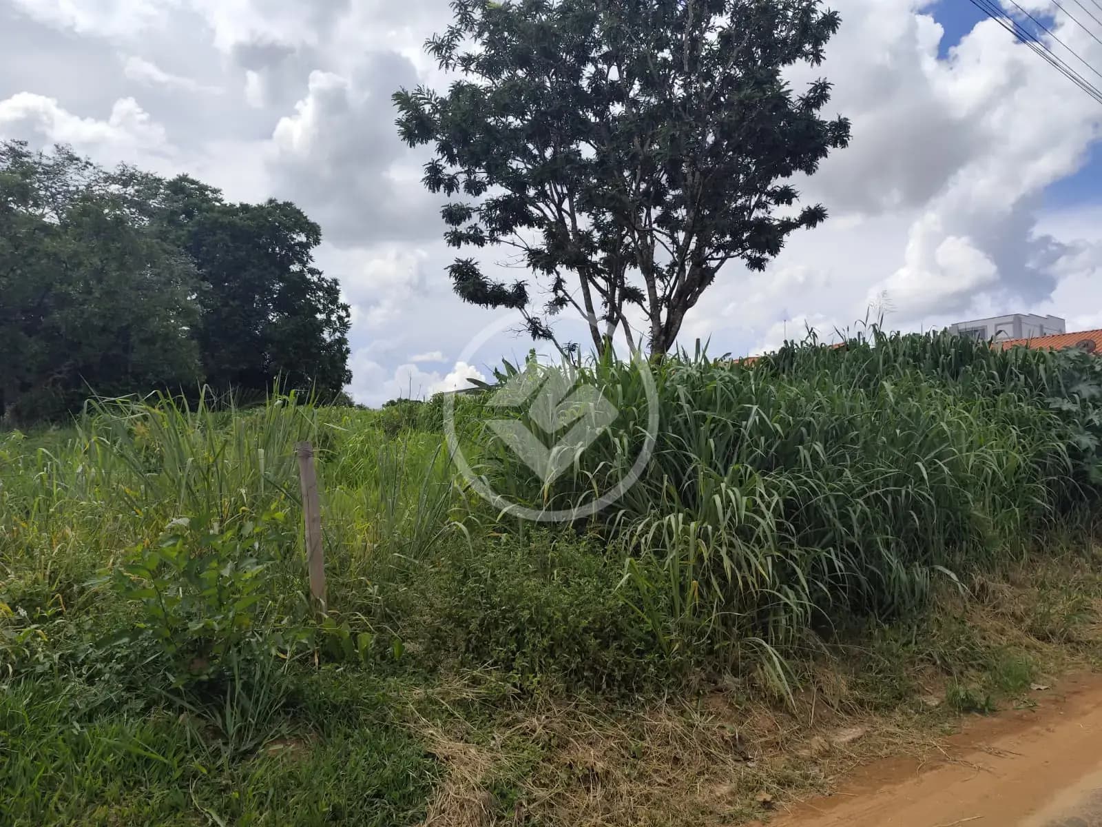 Terreno Jardim Brasil, Caldas Novas - GO — foto 2