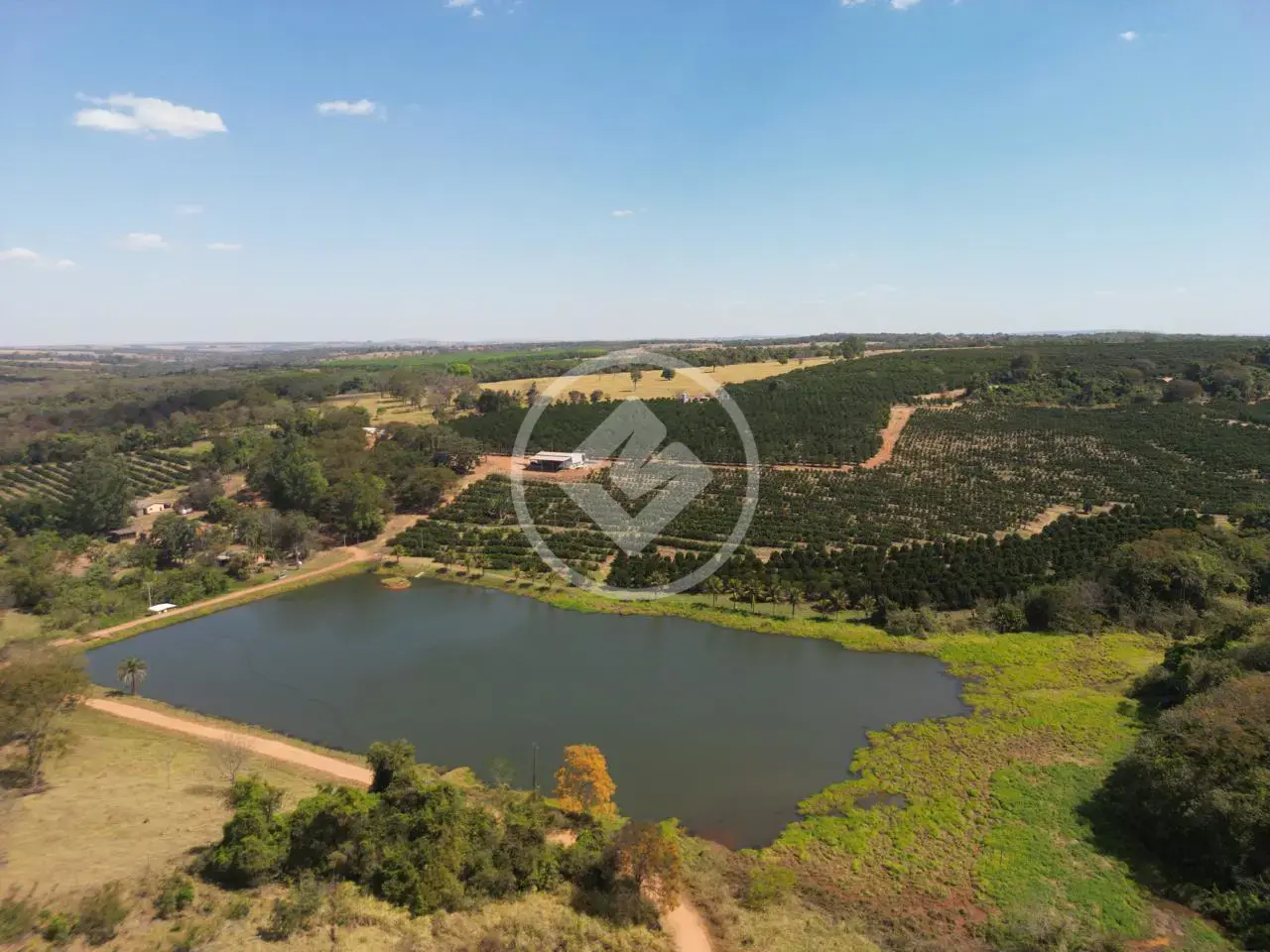 Fazenda Praça José Lobo, Bela Vista de Goiás - GO — foto 1
