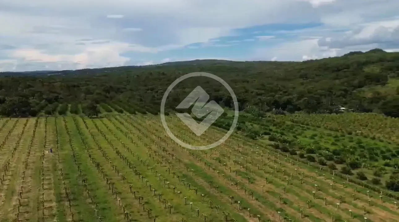 Sítio Área Rural de Piracanjuba, Piracanjuba - GO — foto 1