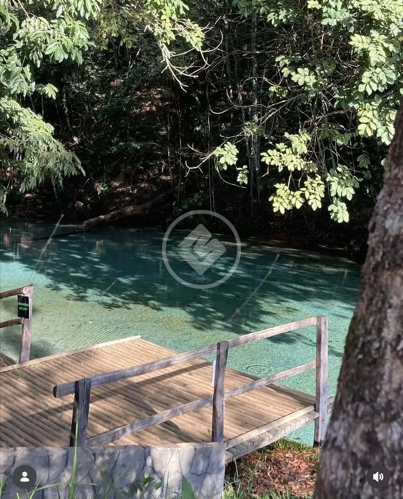 Fazenda Centro, Serranópolis - GO — foto 2