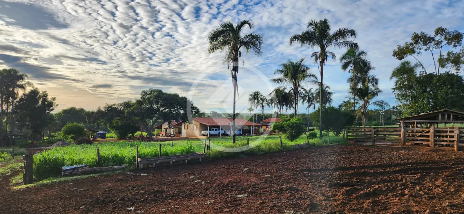 Desfrute da tranquilidade da vida rural em um encantador sítio de 30.28 He na área rural de Jataí.