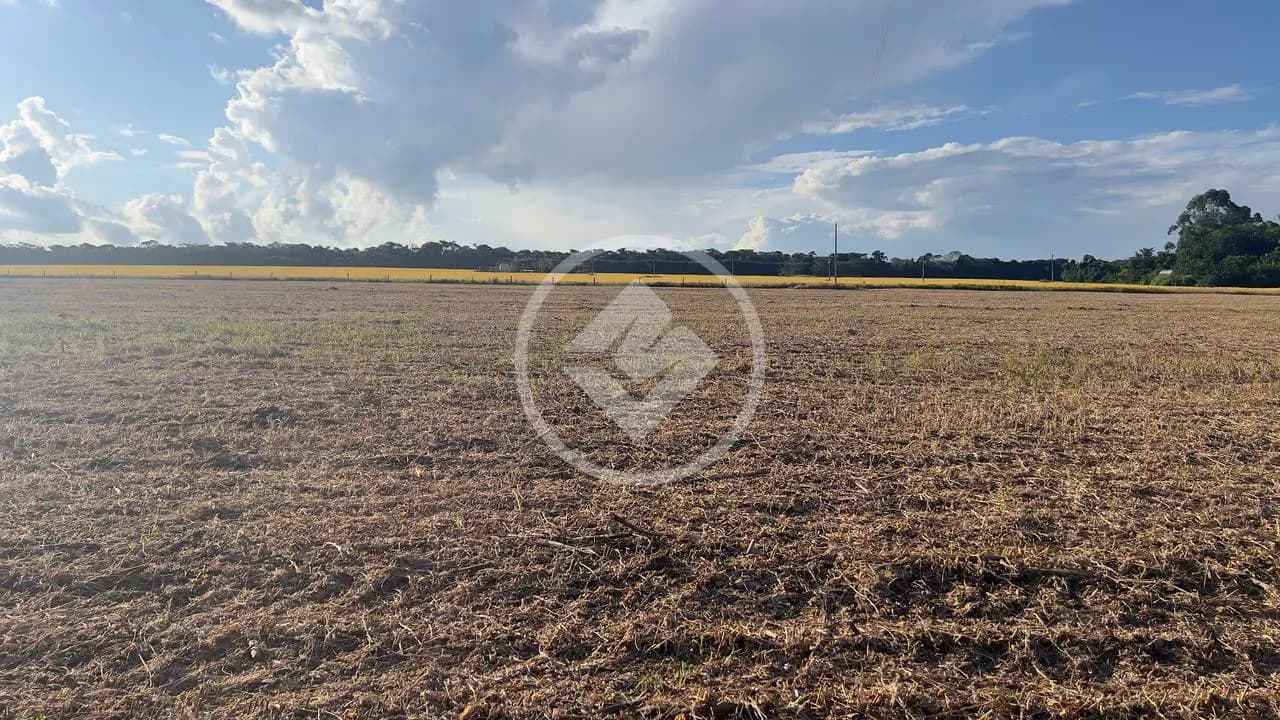 Ótima oportunidade para quem busca um espaço produtivo!