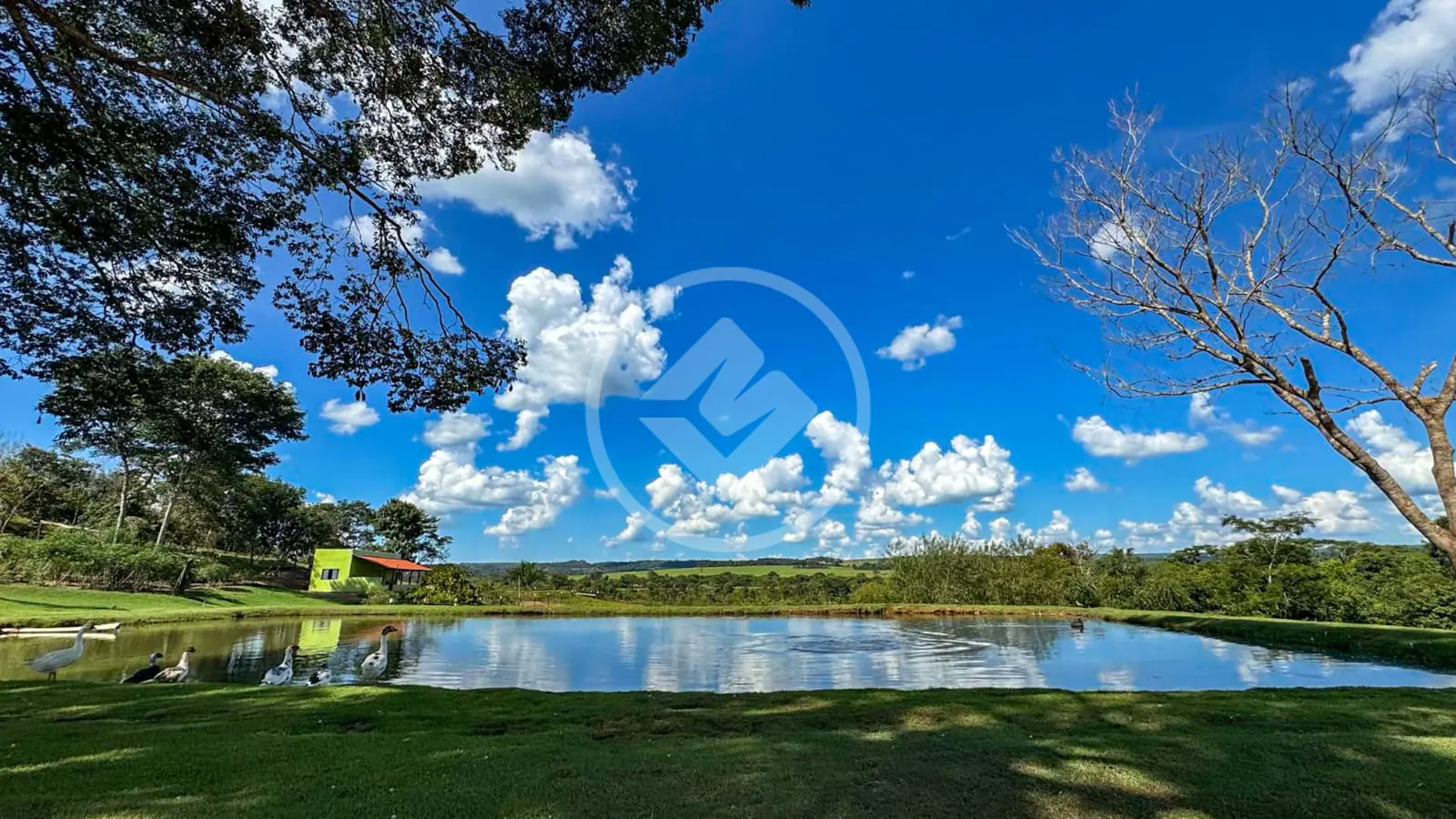 🌳 Chácara dos sonhos à venda – 19 hectares de pura tranquilidade e lazer!