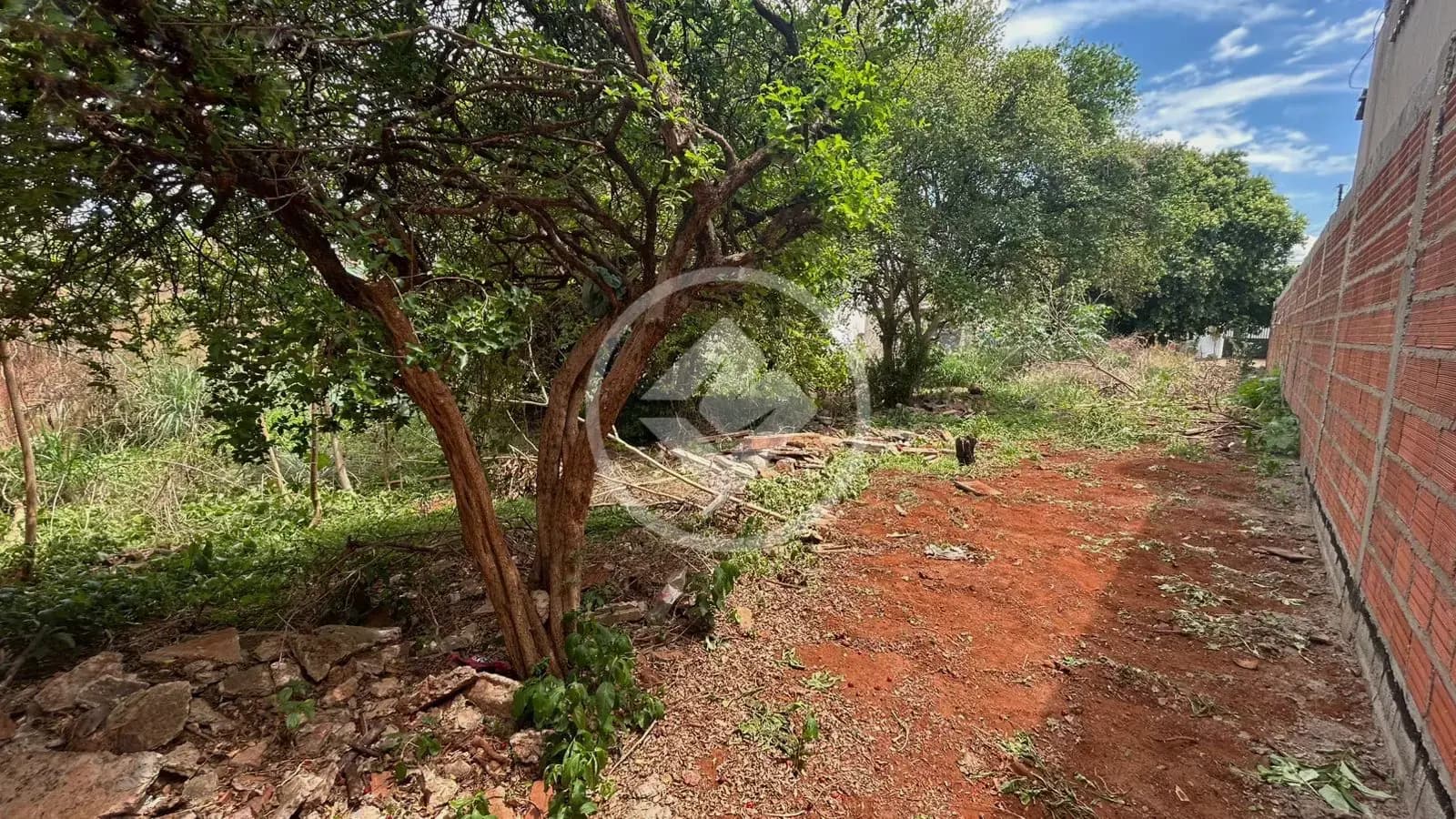 Lote de 389,20 m² à Venda no Setor Vila Fátima – Excelente Localização