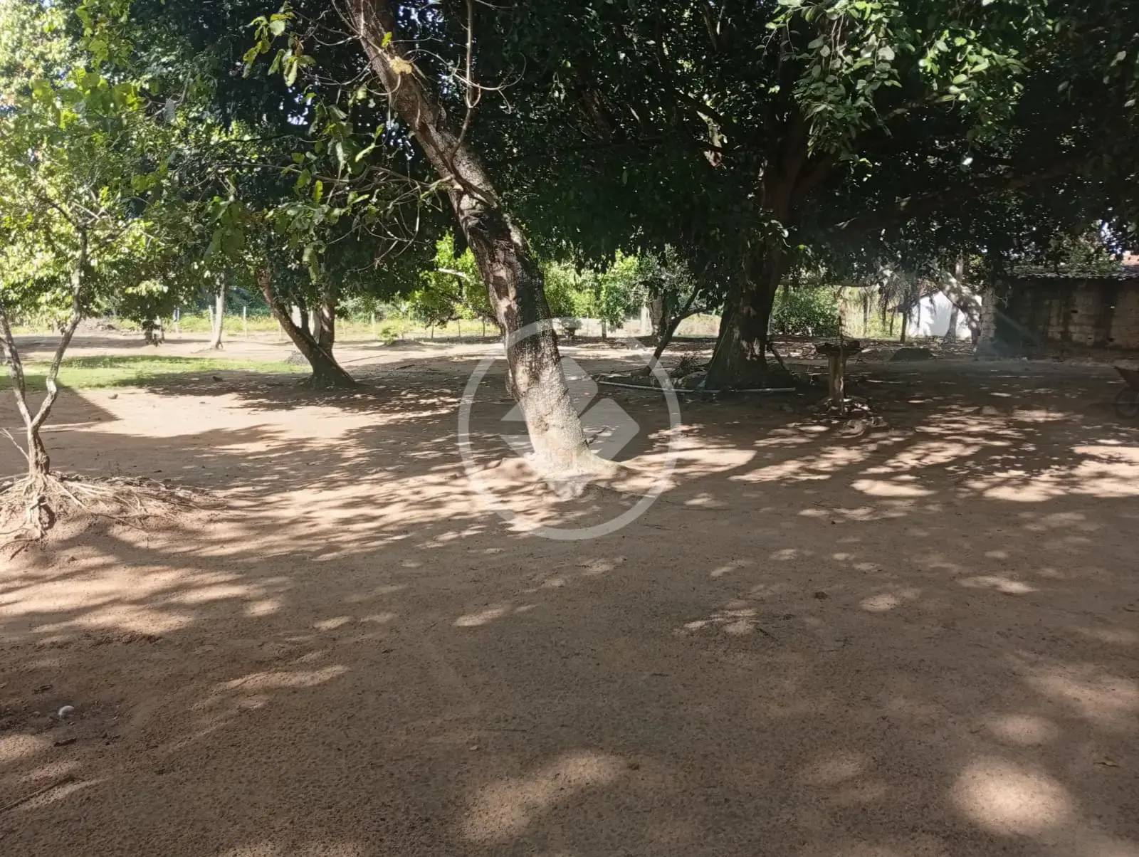 Sítio camaratuba, Mamanguape - PB — foto 2