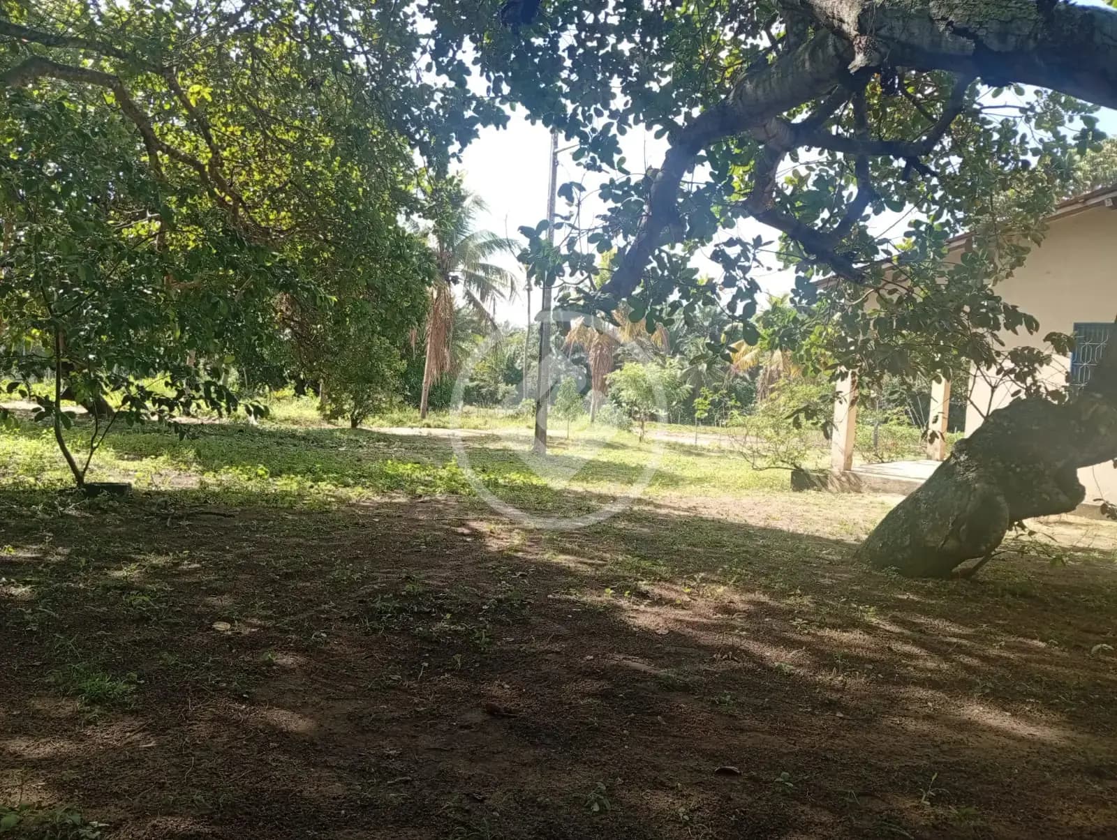 Sítio Centro, Pitanga - PR — foto 1