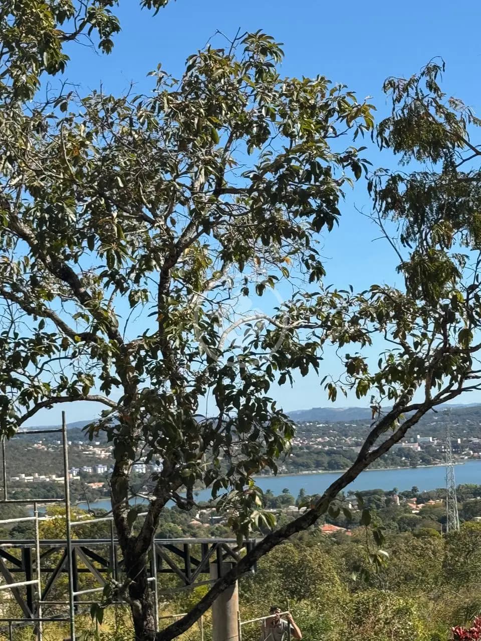 Terreno Condomínio no Jardins da Lagoa II, Lagoa Santa — foto 5 de 6