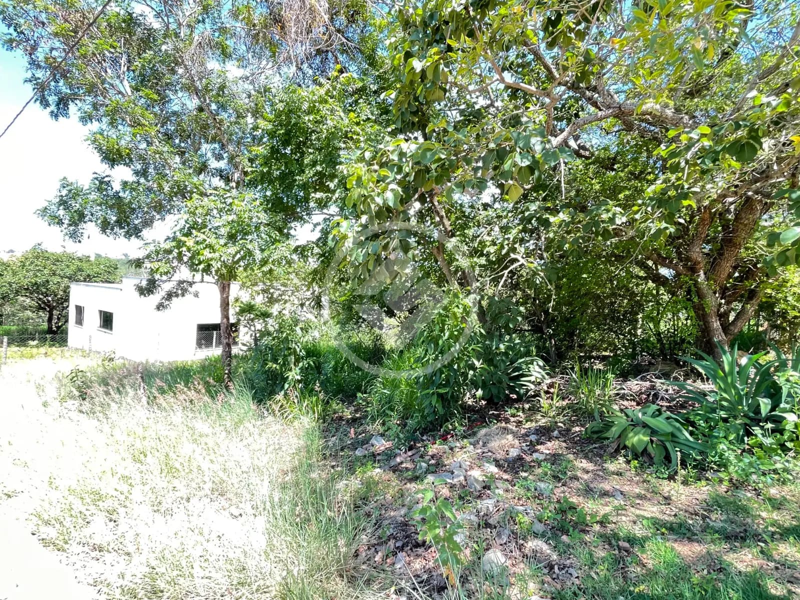 Terreno Condomínio Mirante do Tamboril, Lagoa Santa - MG — foto 2