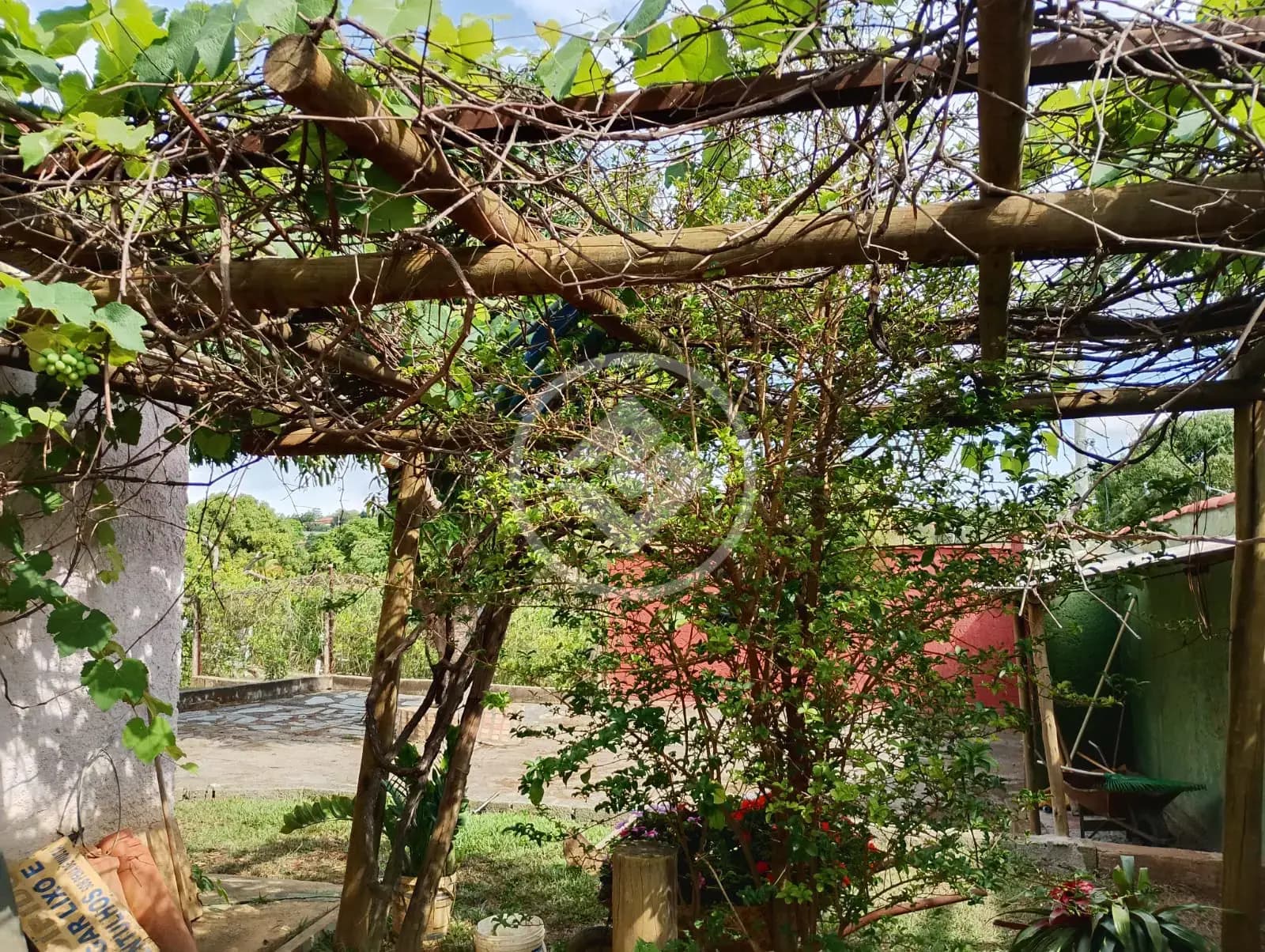 Sítio 3 quartos no Jacques Ville, Lagoa Santa — foto 4 de 6