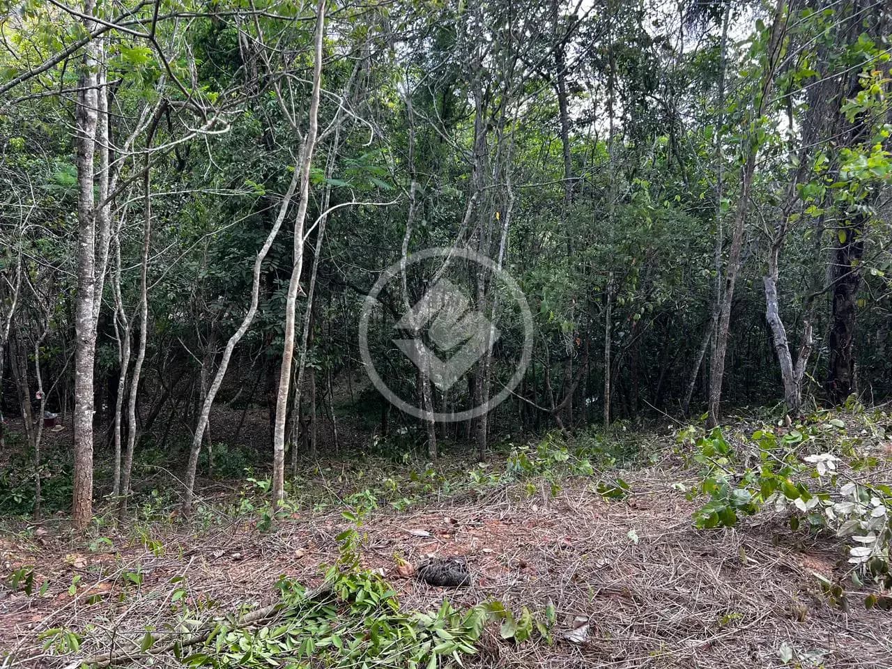 Chácara no Amanda, Baldim — foto 4 de 6