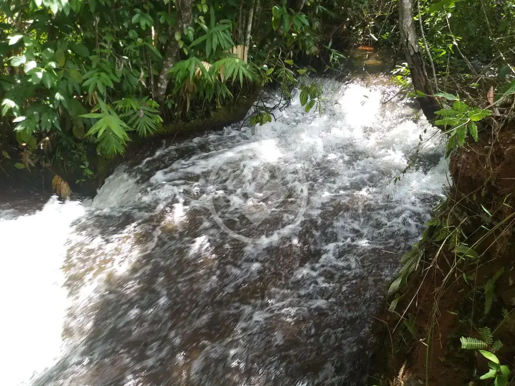 Fazenda Mambaí, Mambaí - GO — foto 1