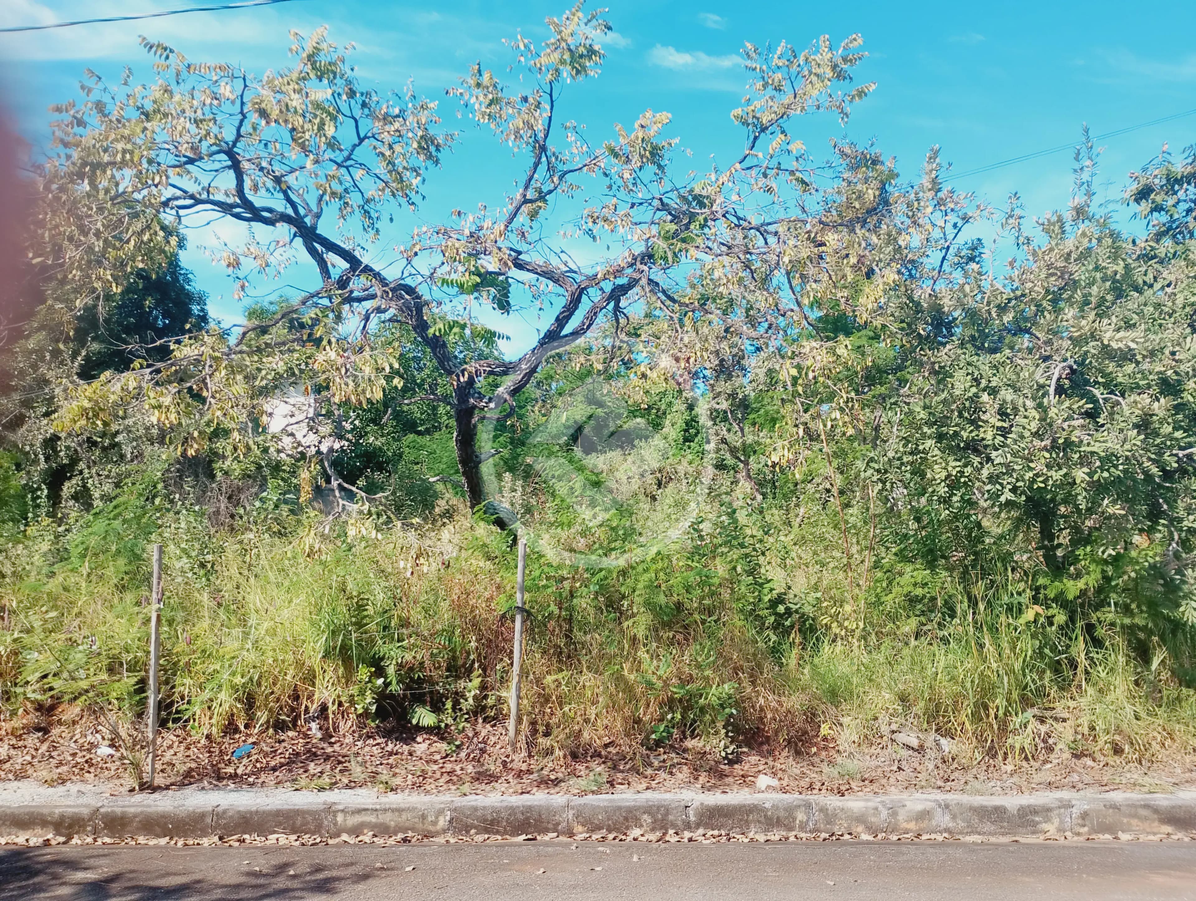 Terreno Condomínio no Joá, Lagoa Santa — foto 3 de 6