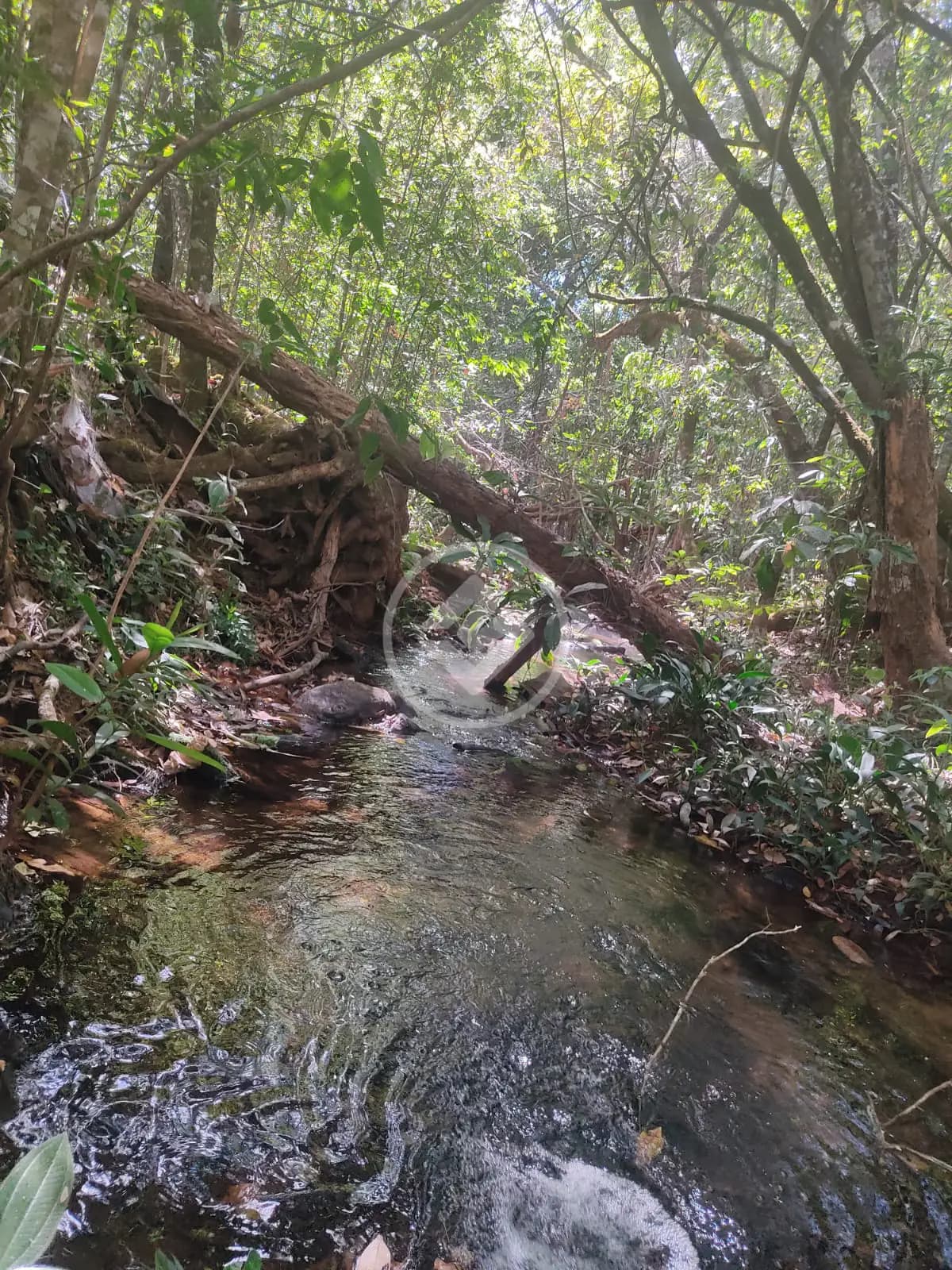 Fazenda no Centro, Pirenópolis — foto 4 de 6